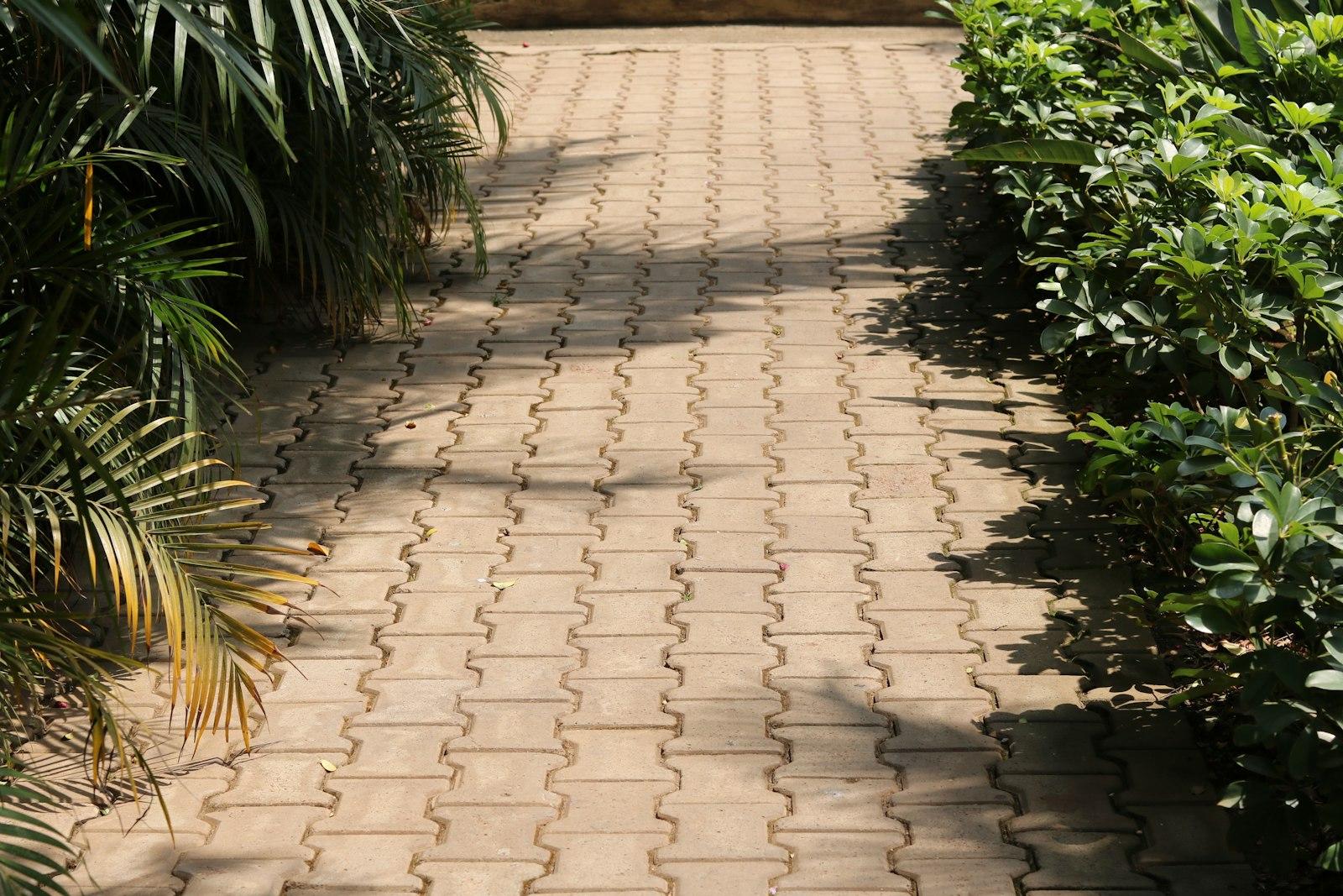 Side-by-side comparison of paver and concrete driveway surfaces