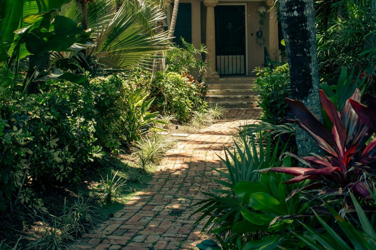 Sunlit brick paver path winding through a tropical Florida garden to a front door