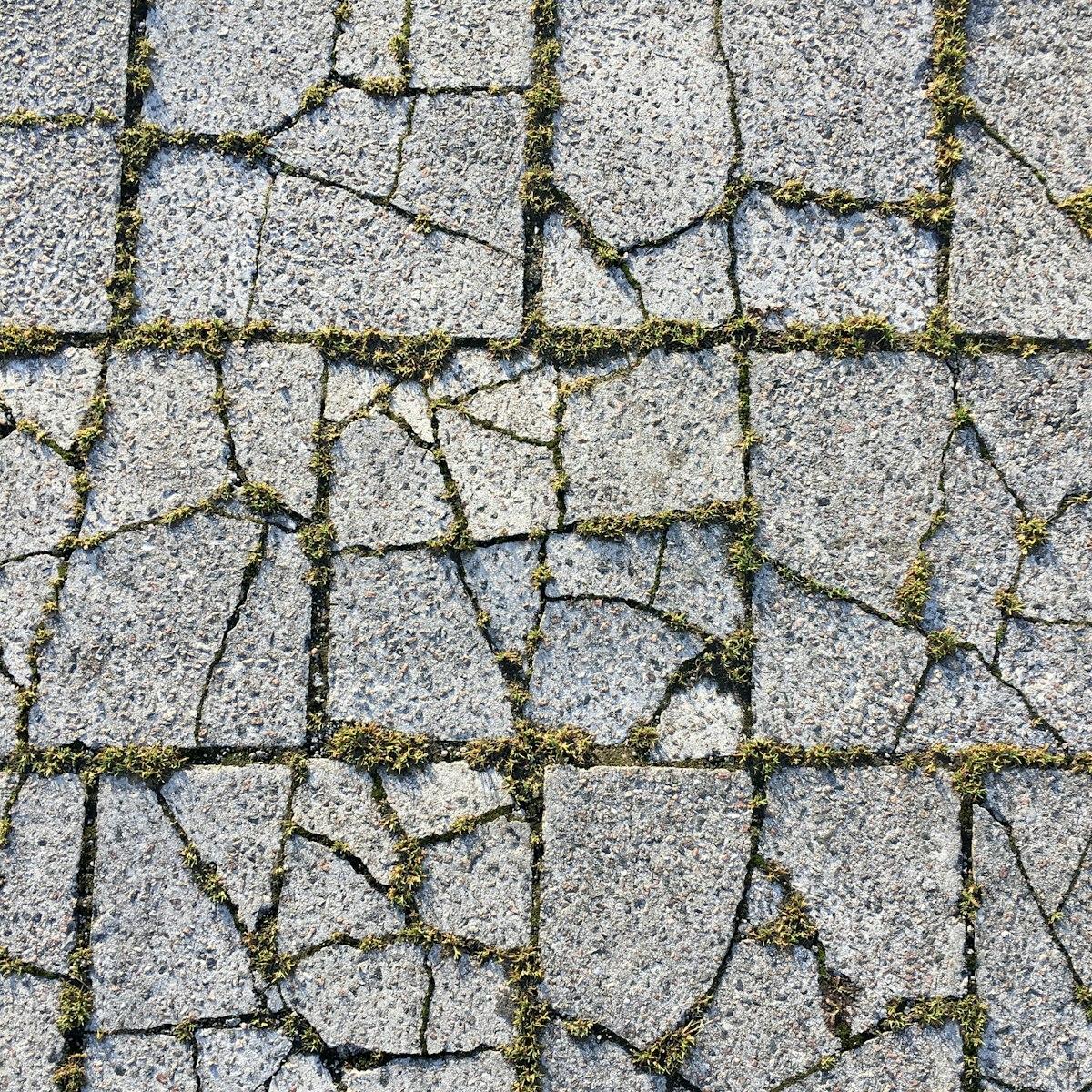Cracked paver blocks with grass growing between the joints
