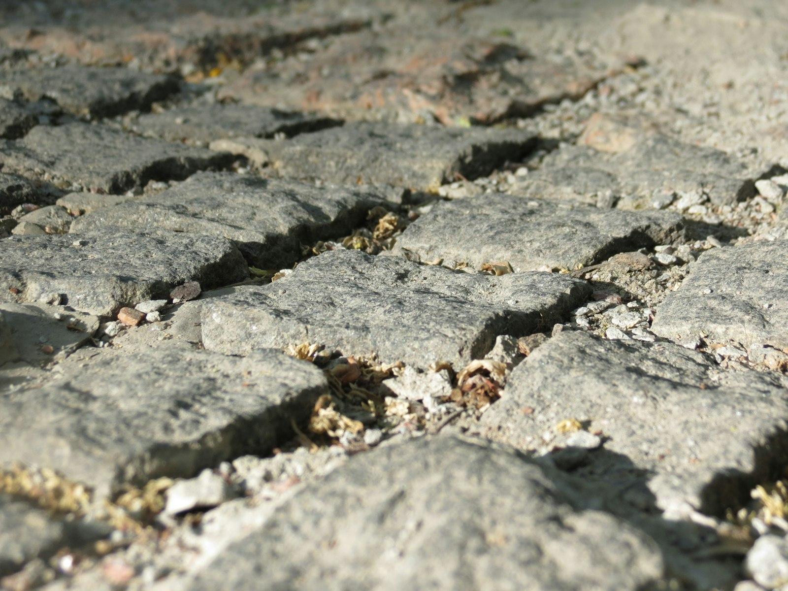 Crew laying pavers by hand during a Florida installation